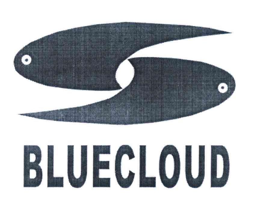 BLUECLOUD