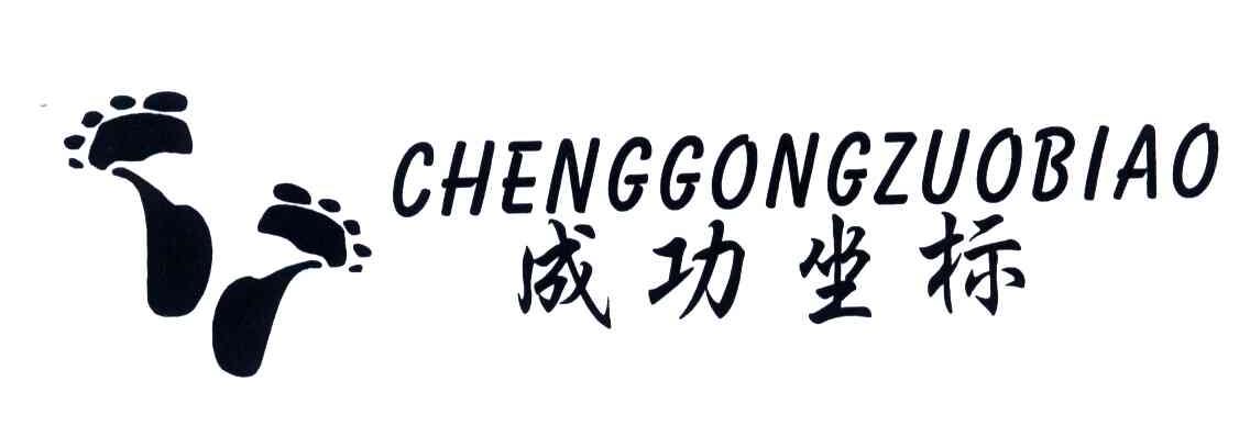 成功坐标