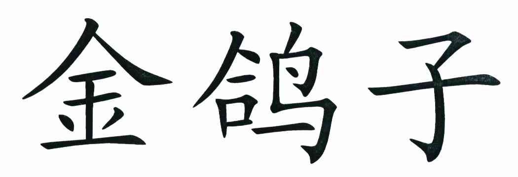 金鸽子