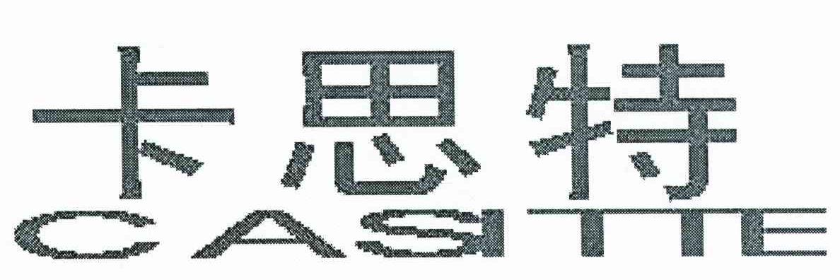 卡思特 CASITTE
