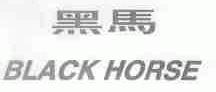 黑马;BLACK HORSE