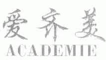 爱齐美;ACADEMIE
