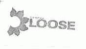 ZHENG PING;LOOSE