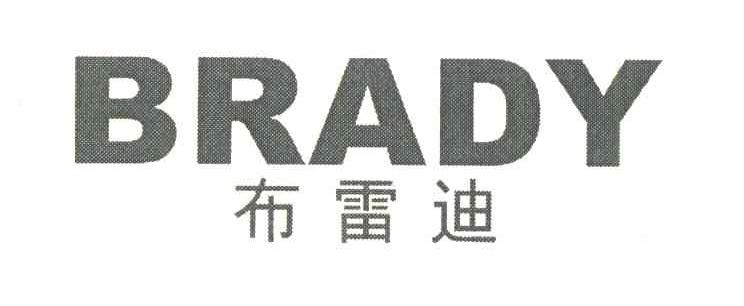 布雷迪;BRADY