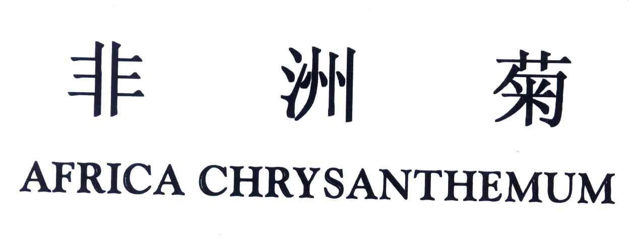 非洲菊;AFRICA CHRYSANTHEMUM