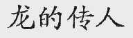 龙的传人