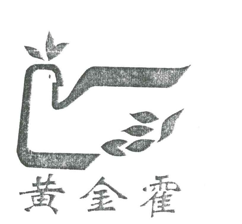 黄金霍