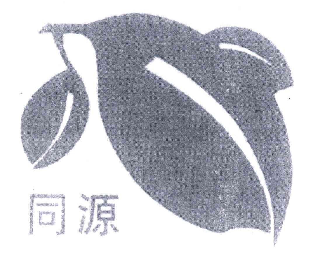 同源