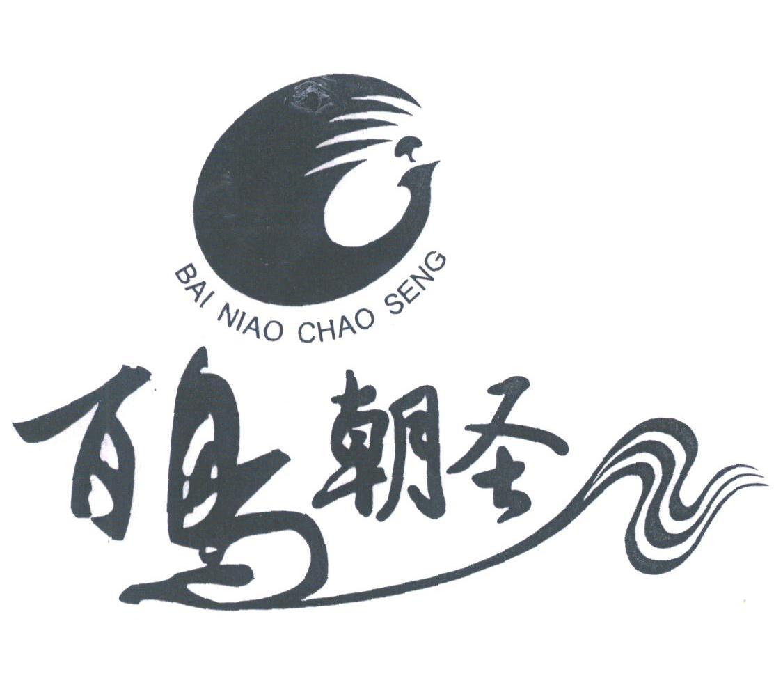 百鸟朝圣