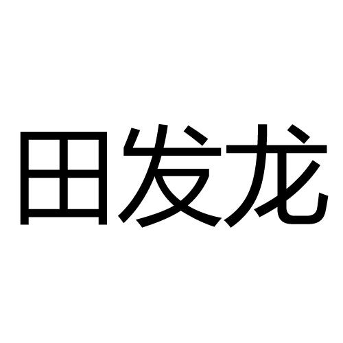 田发龙
