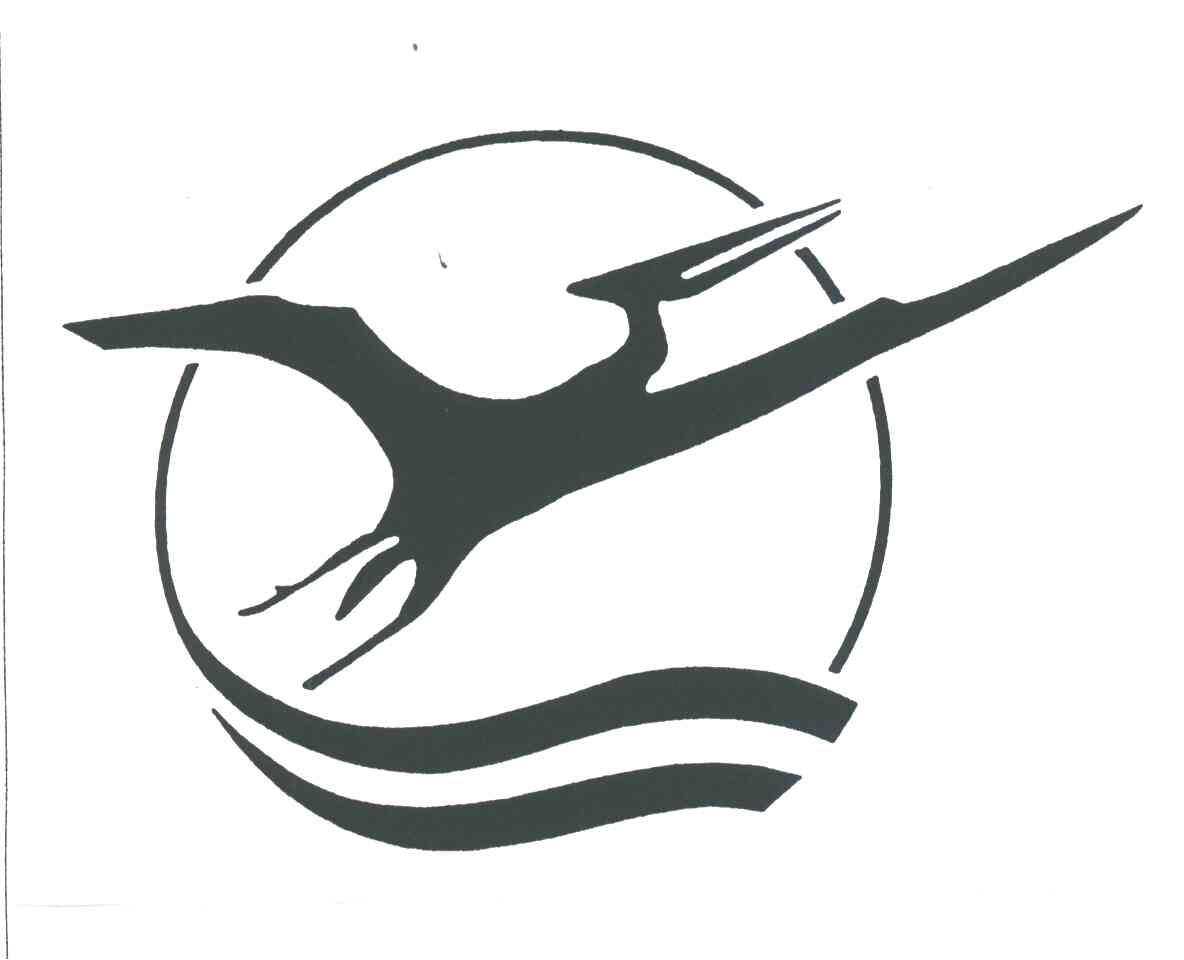 图形