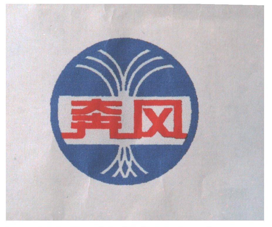 奔风