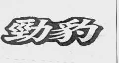 劲豹