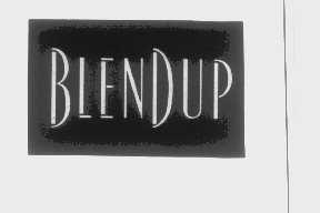 BLENDUP
