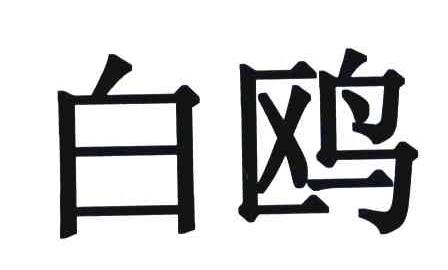 白鸥