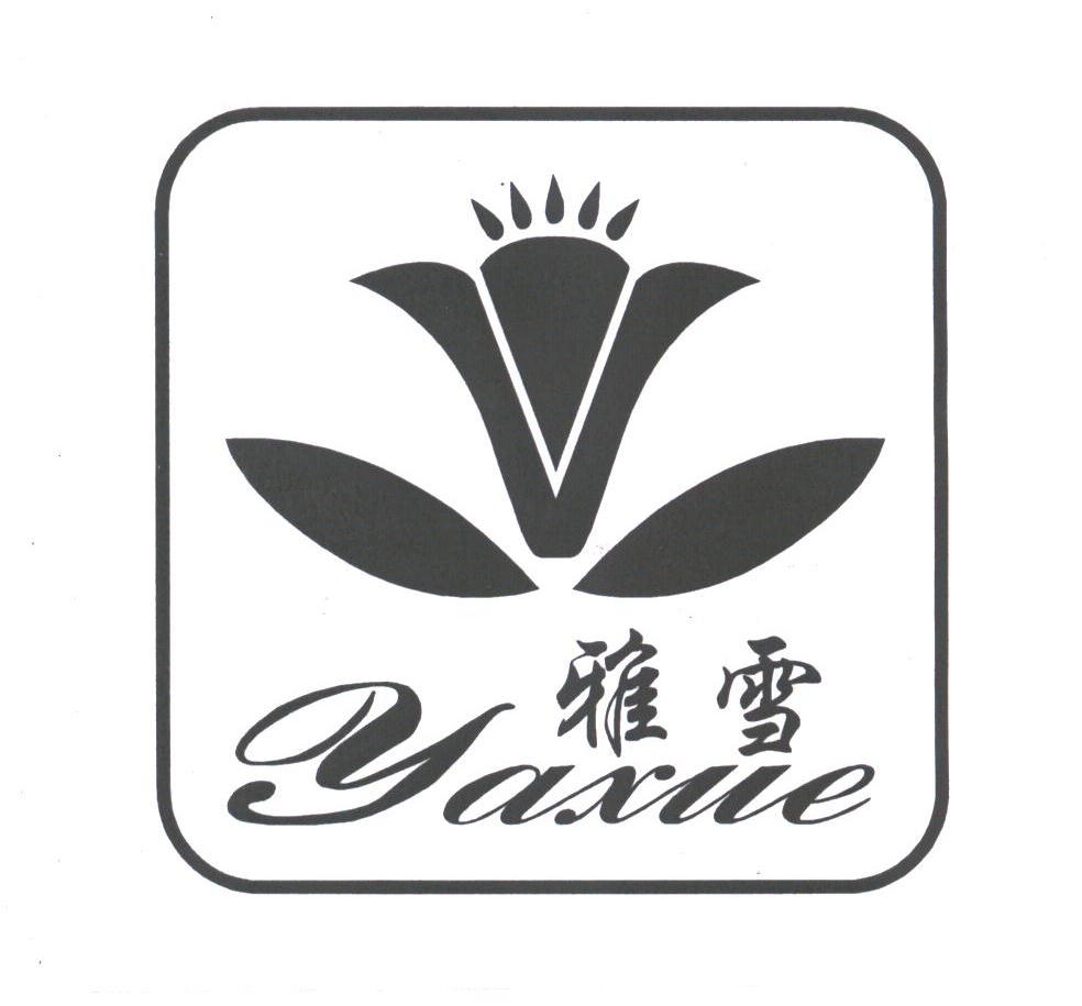 雅雪