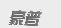 豪普