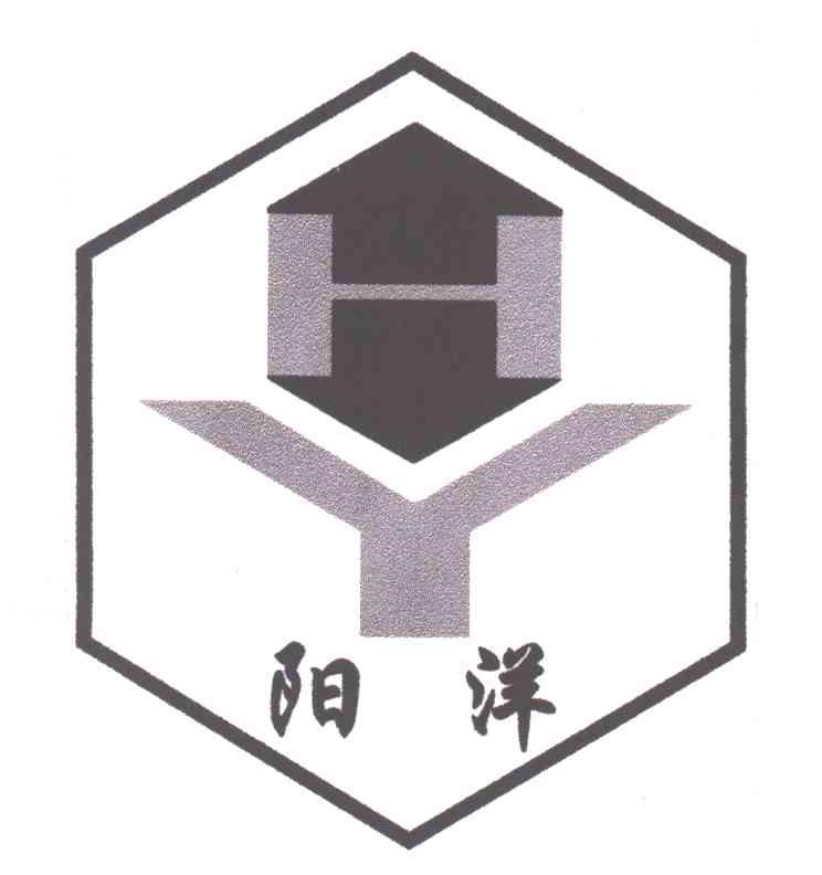 阳洋HY