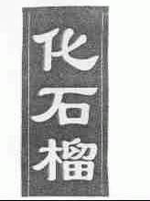化石榴