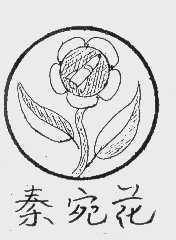 秦宛花