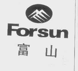 富山   FORSUN