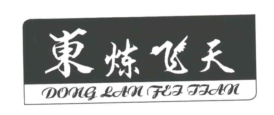 东炼飞天