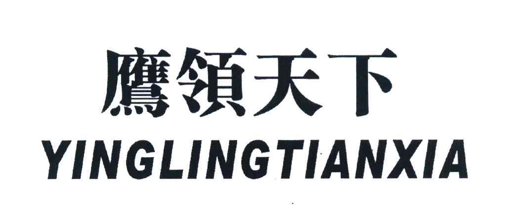 鹰领天下