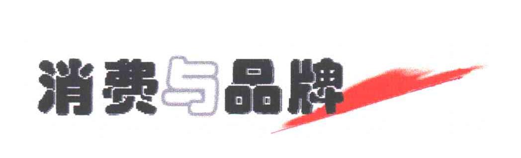消费与品牌