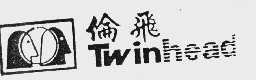 伦飞  TWINHEAD