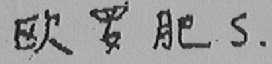 欧罗肥  S