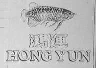 鸿运