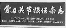 骨与关节损伤杂志