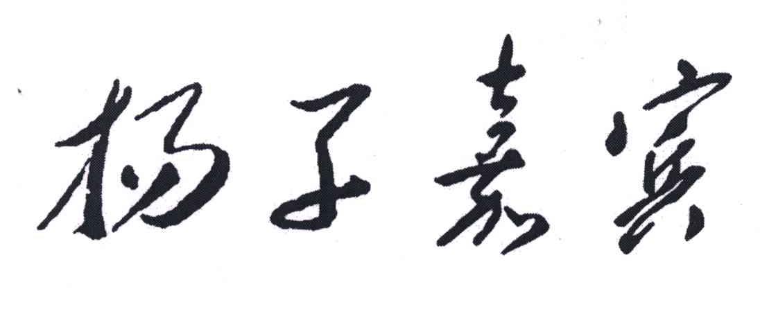 扬子嘉宾
