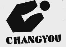 CHANGYOU
