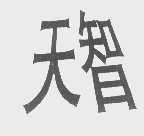 天智
