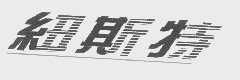 纽斯特