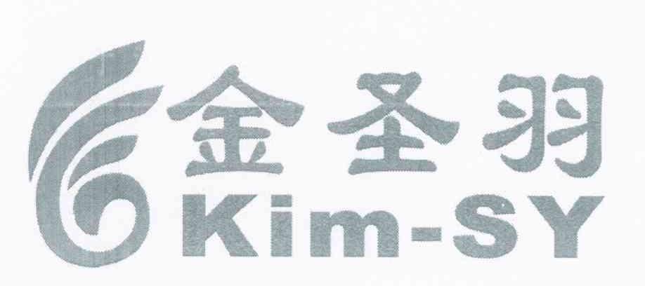 金圣羽 KIM-SY