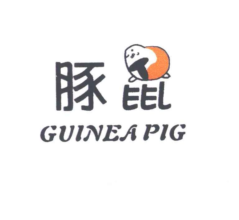 豚鼠;GUINEA PIG