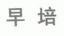早培