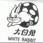 大白兔;WHITE RABBIT