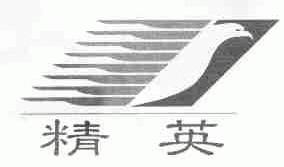精英