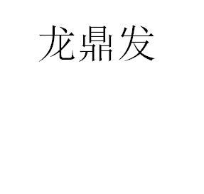 龙鼎发