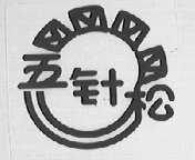 五针松