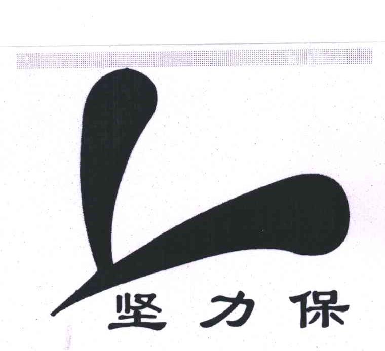 坚力保