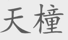 天橦