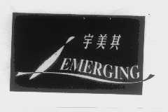 宇美其   EMERGING