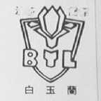 白玉兰
