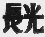长光