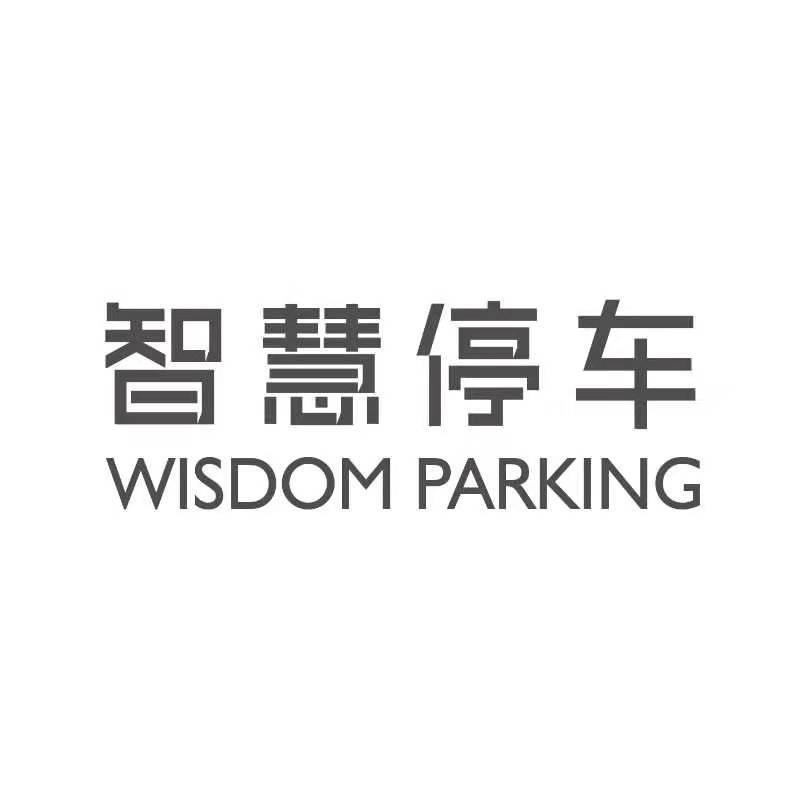 智慧停车 WISDOM PARKING