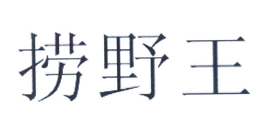 捞野王